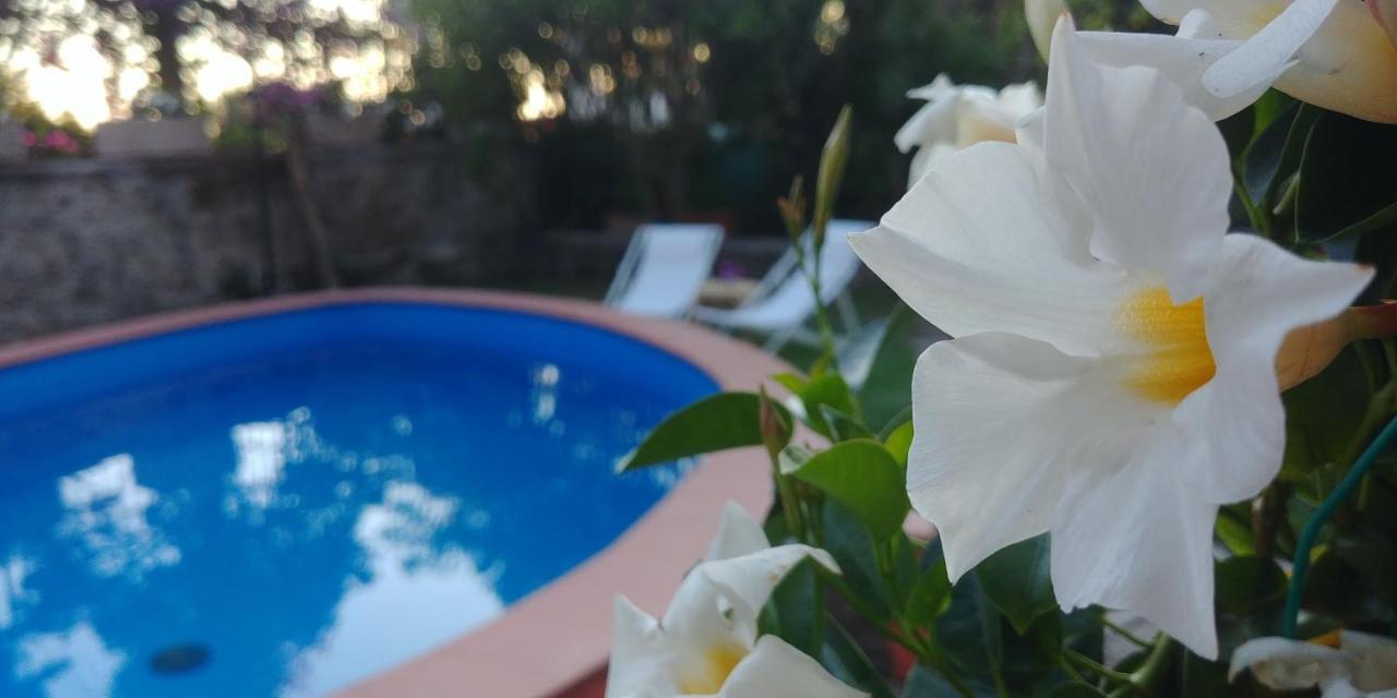 Villa Drina Ischia Eksteriør billede